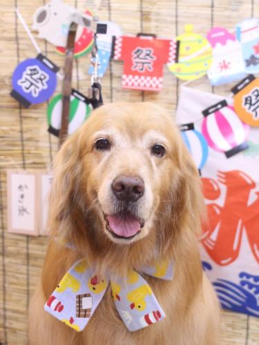 20240709五助くん